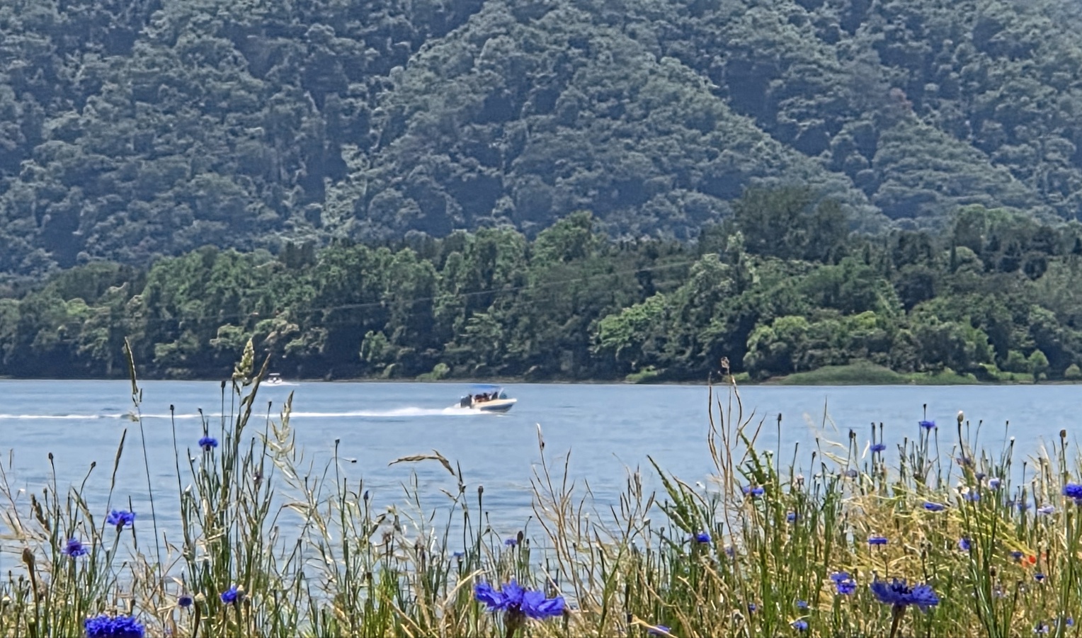 f3f44607ef54a.jpg