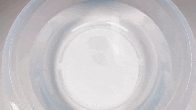 Ice Cool Scarf