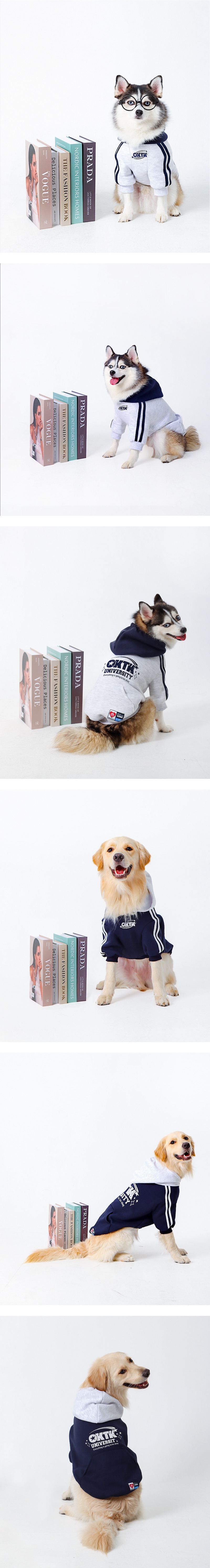 Shootingstar Fleece Hoodie