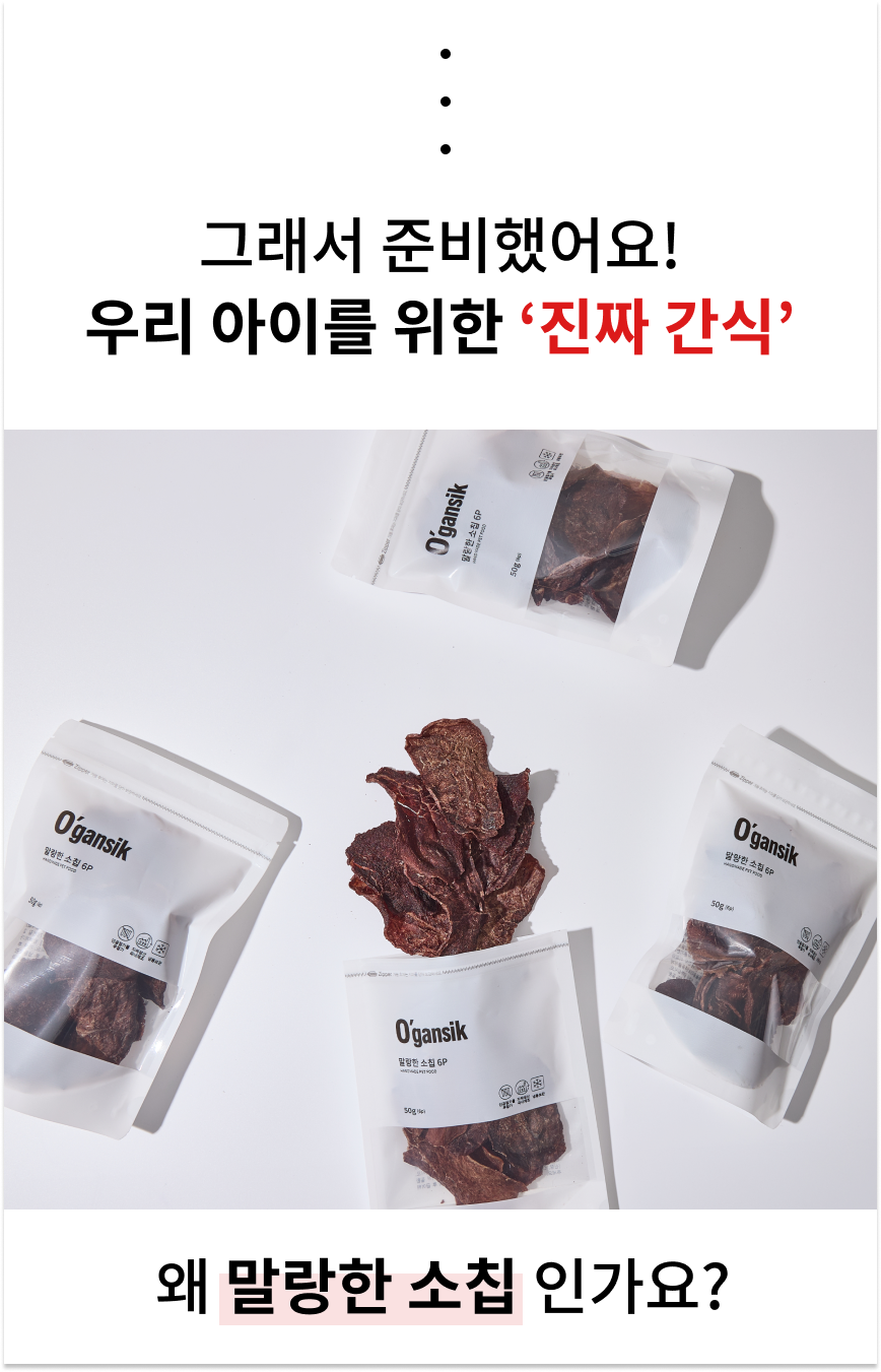 오간식 말랑말랑 소칩