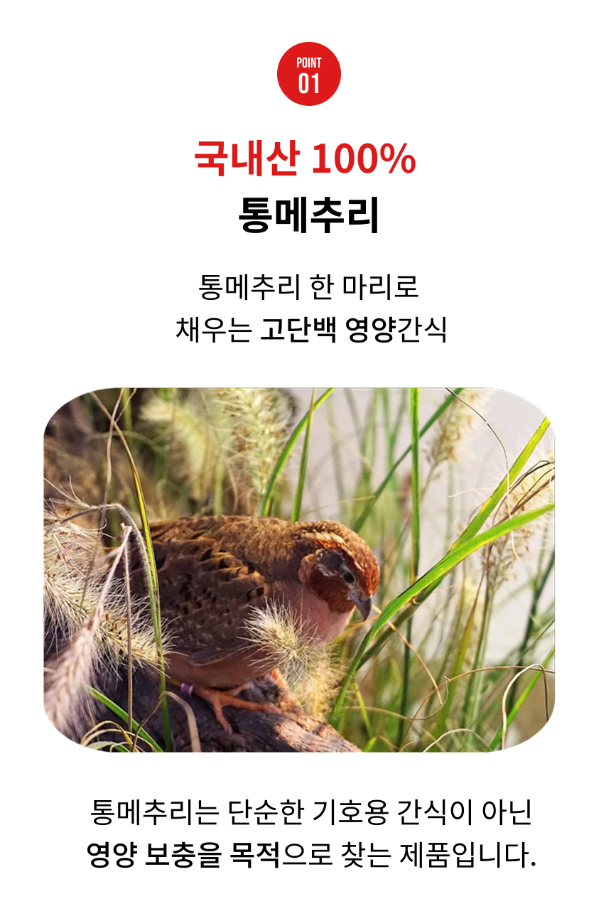 오간식 통메추리 (메추리알/열빙어)