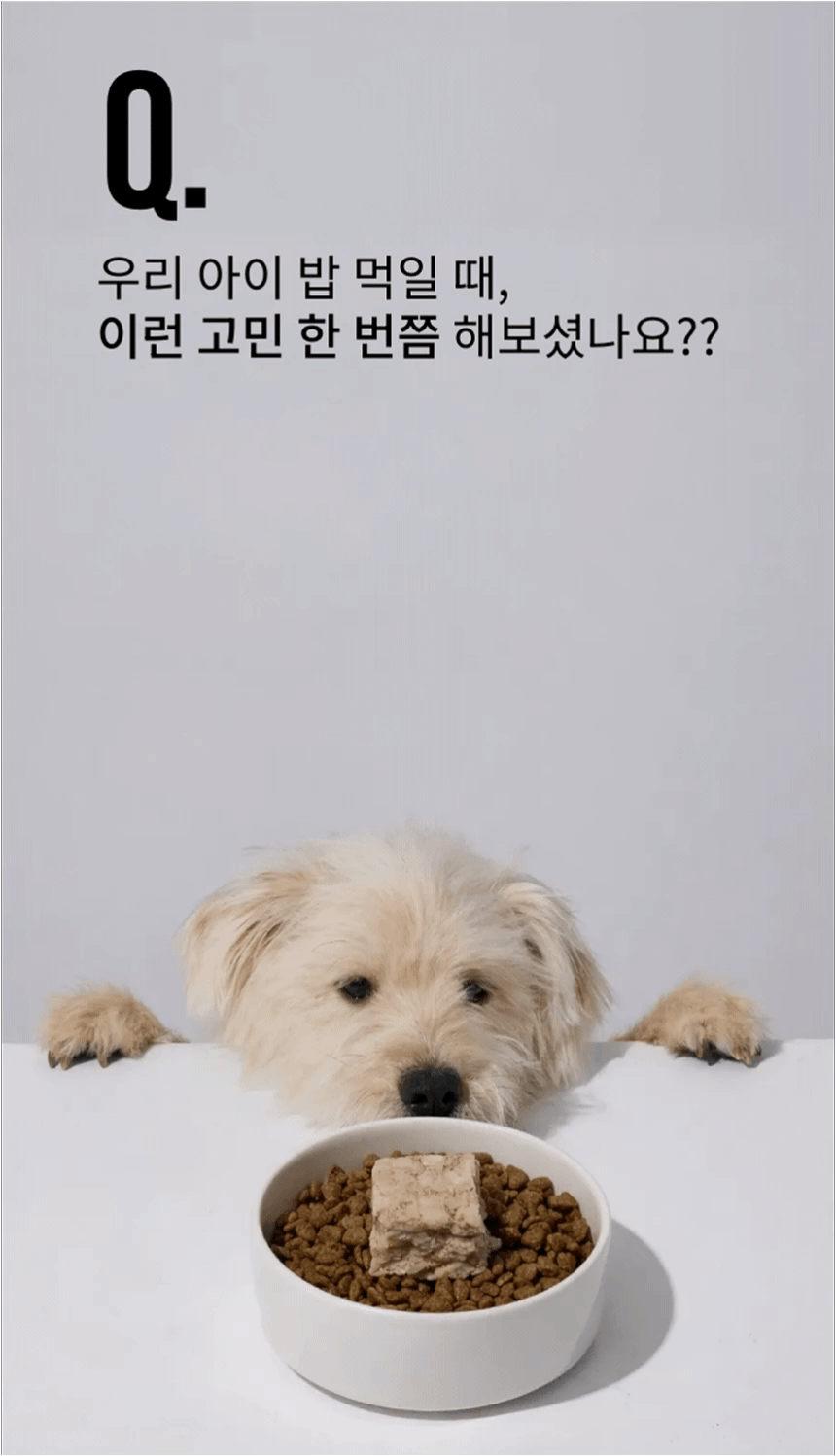 오간식 화식큐브 10p (소/닭/돼지)