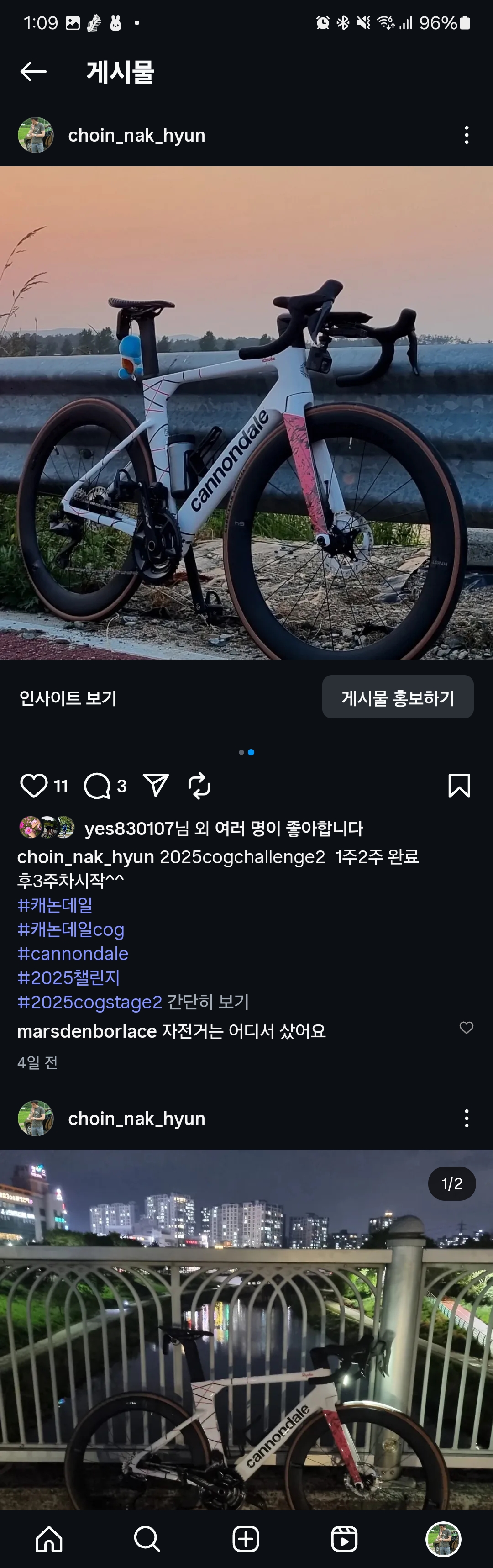 0c9541df399ca.jpg