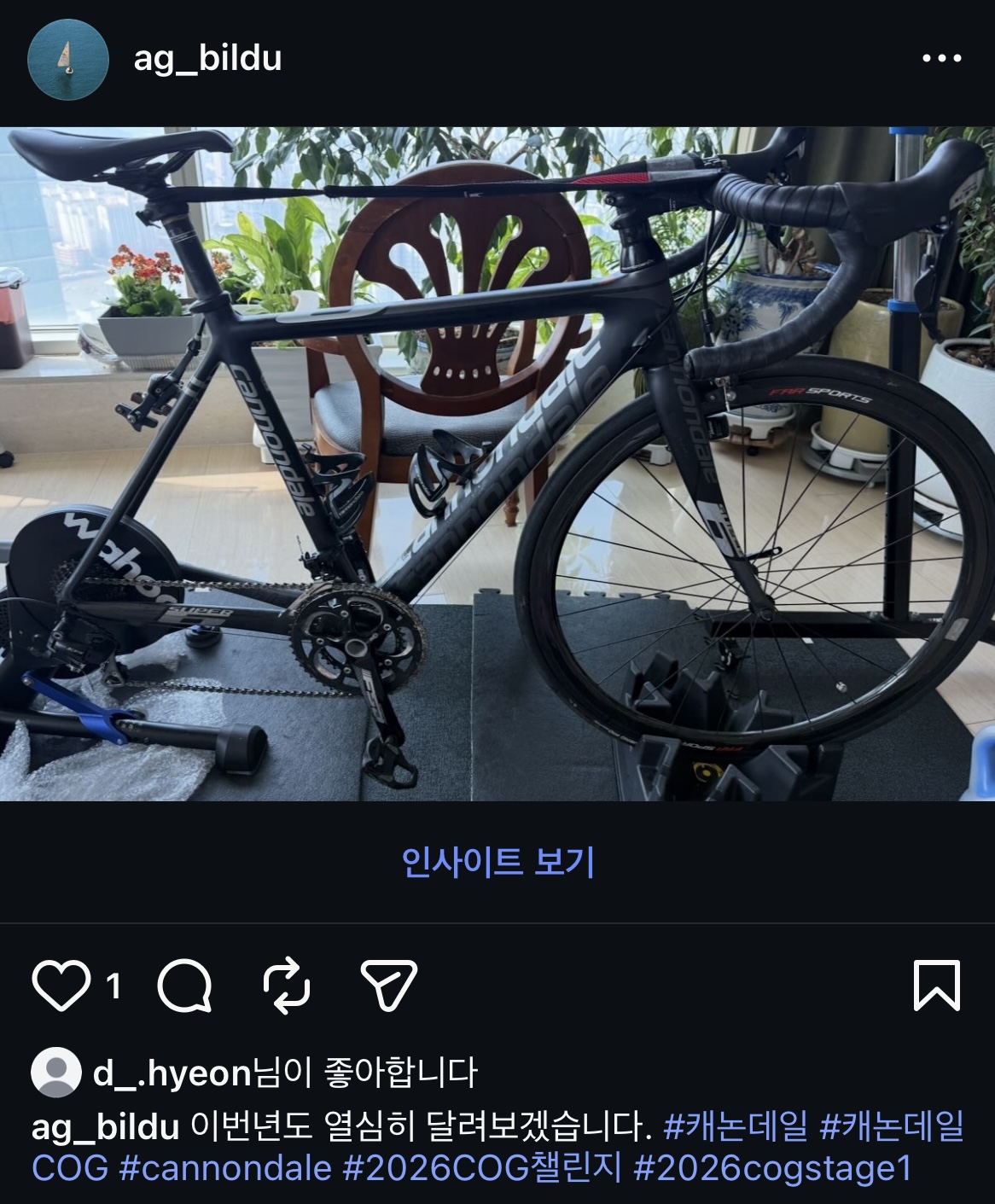81a817c11ec09.jpeg