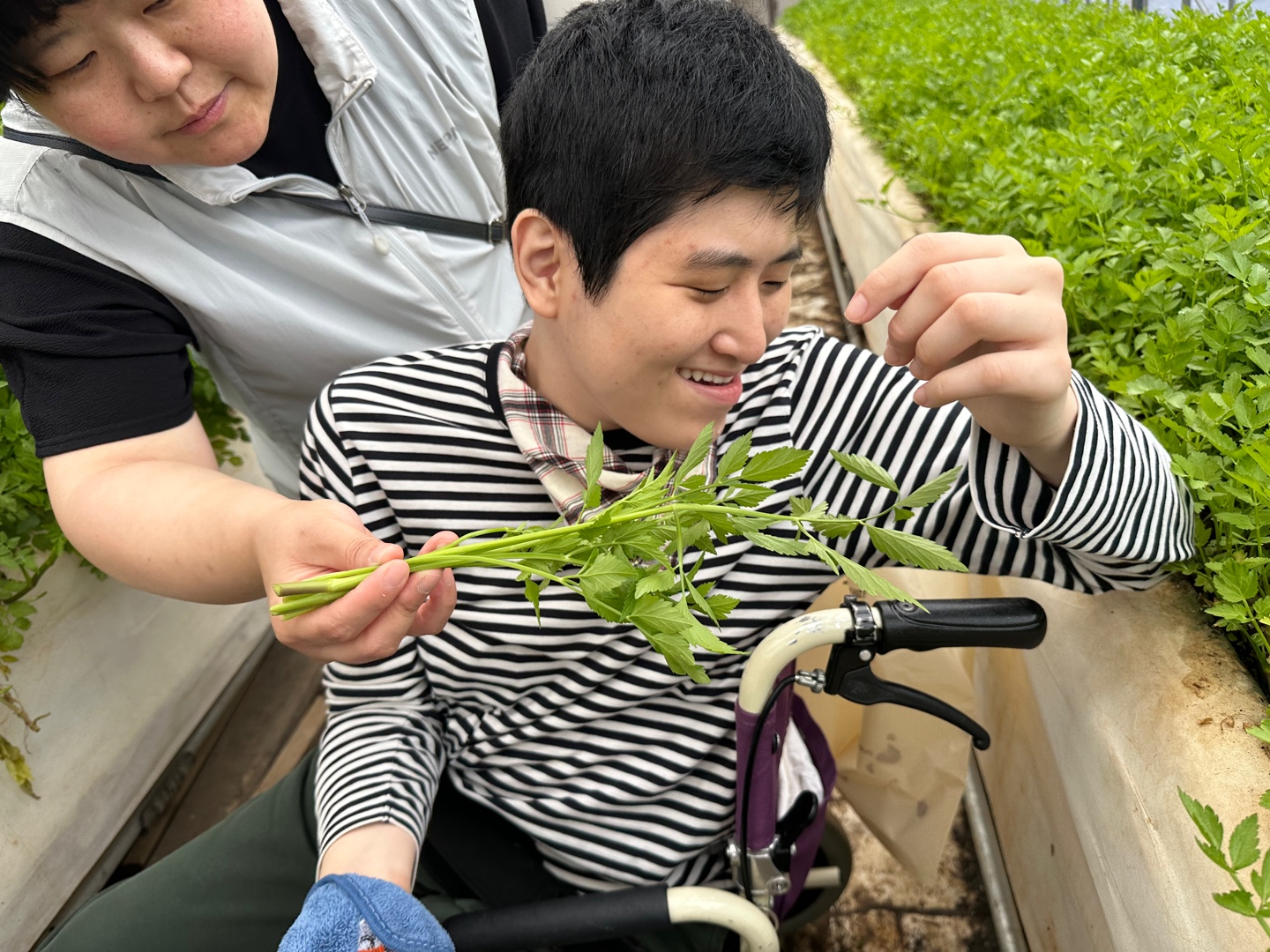 8b541ef81e1a2.jpg