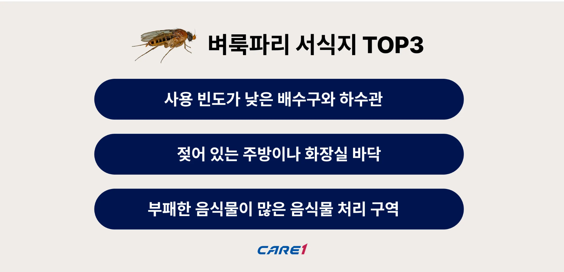케어원-벼룩파리-서식지-3가지