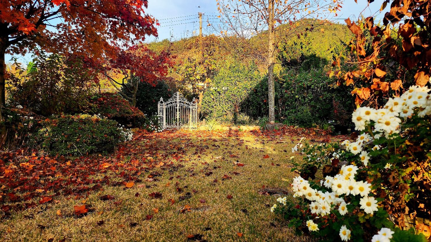 포항 은천지 잔디마당