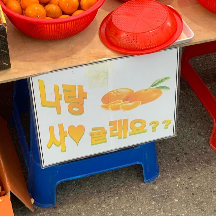 플러팅이 어려운 이유, 타이밍과 진심을 담은 말 한마디의 힘 - 위피레터 인터뷰 콘텐츠