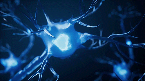 74e720c8fd9fd.gif