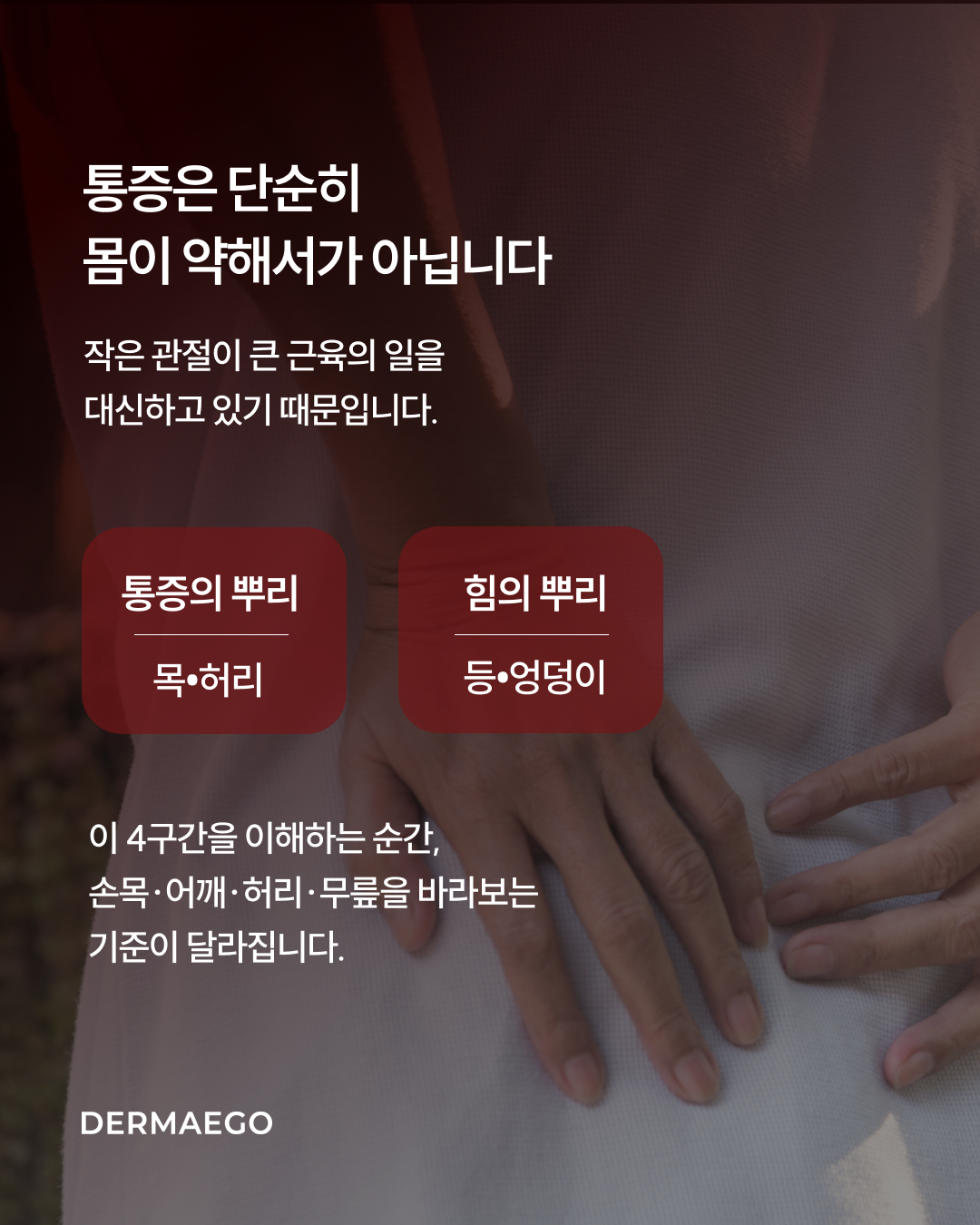 뉴에그 6기_3.png