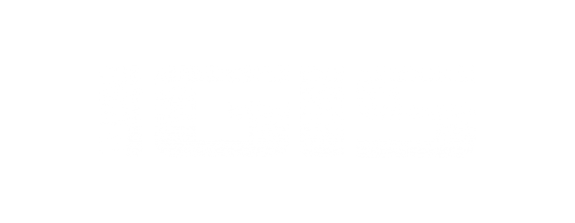 logo2