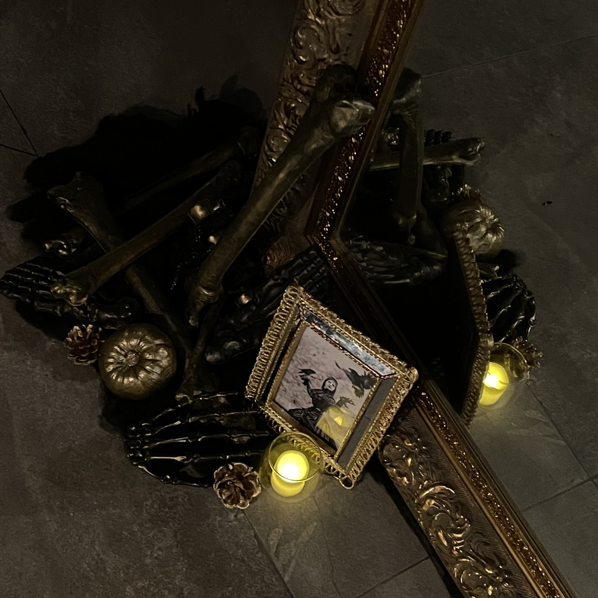 d53040e20d73b.png