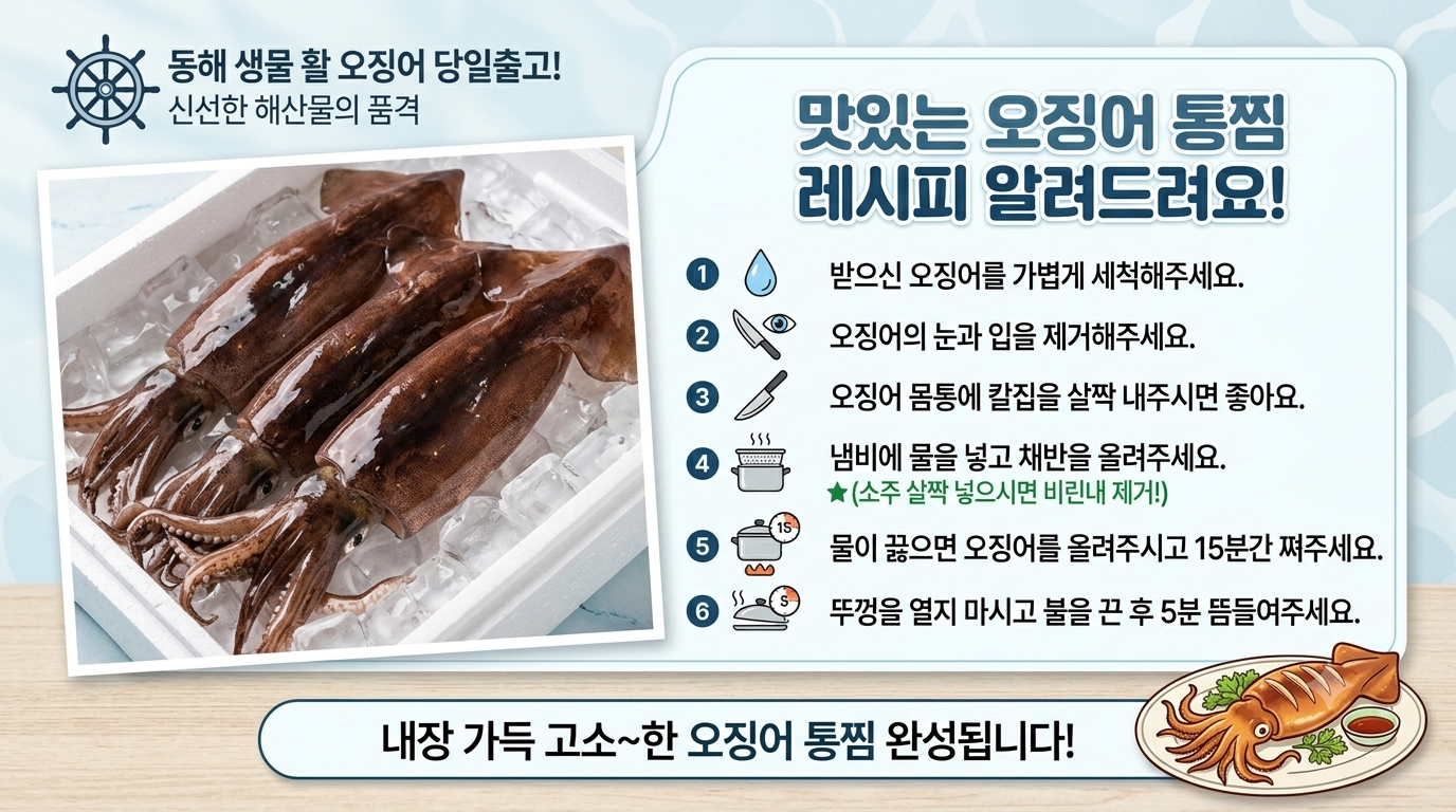 동해 생물 활 오징어 특가!