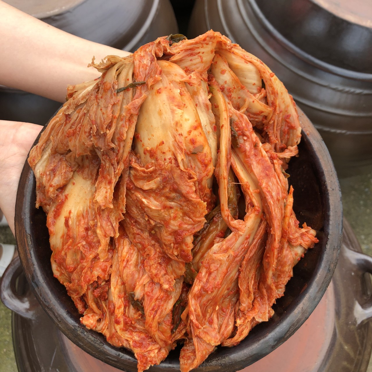 2년 묵은 깊은맛 묵은지