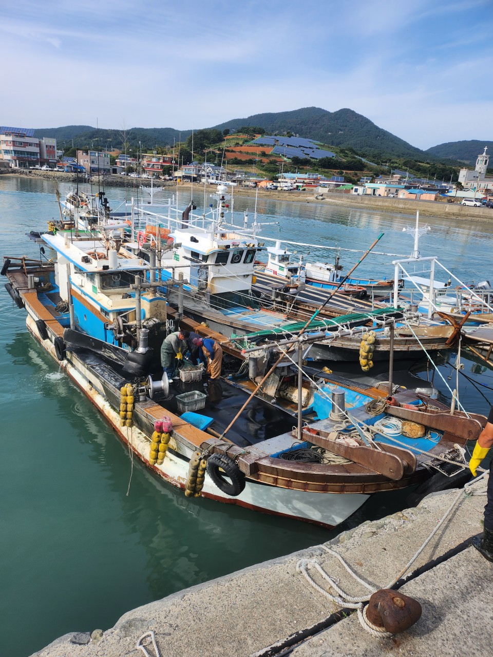 통영 활돌문어 산지직송 1kg(1~3미)