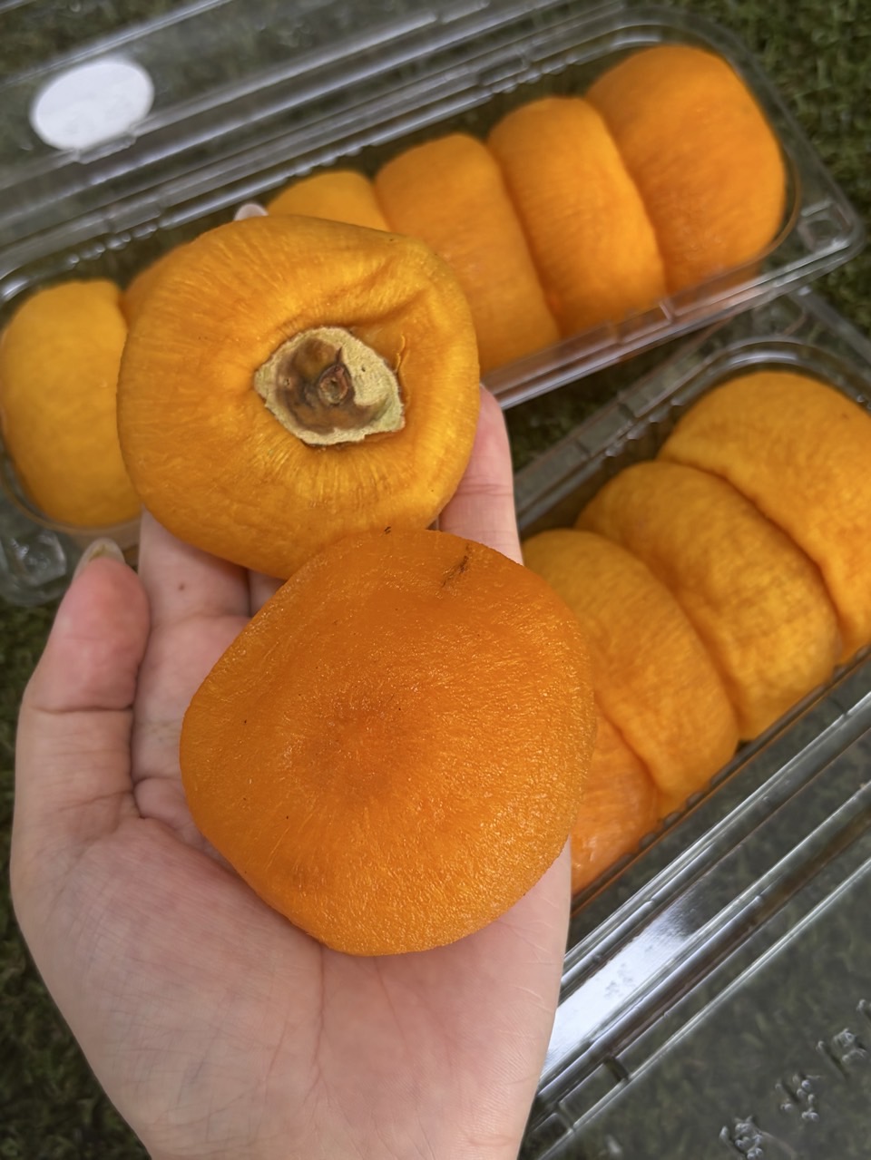 쫀득달콤 지리산 산청곶감 500g 3팩 한정특가