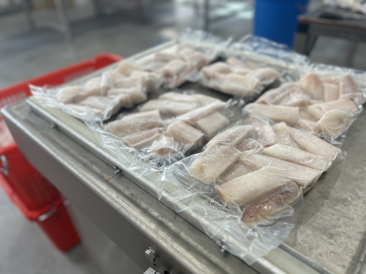 푸짐한 순살 아구찜 밀키트