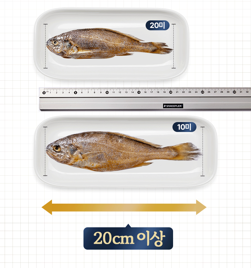 프리미엄 영광굴비 선물세트(10미)