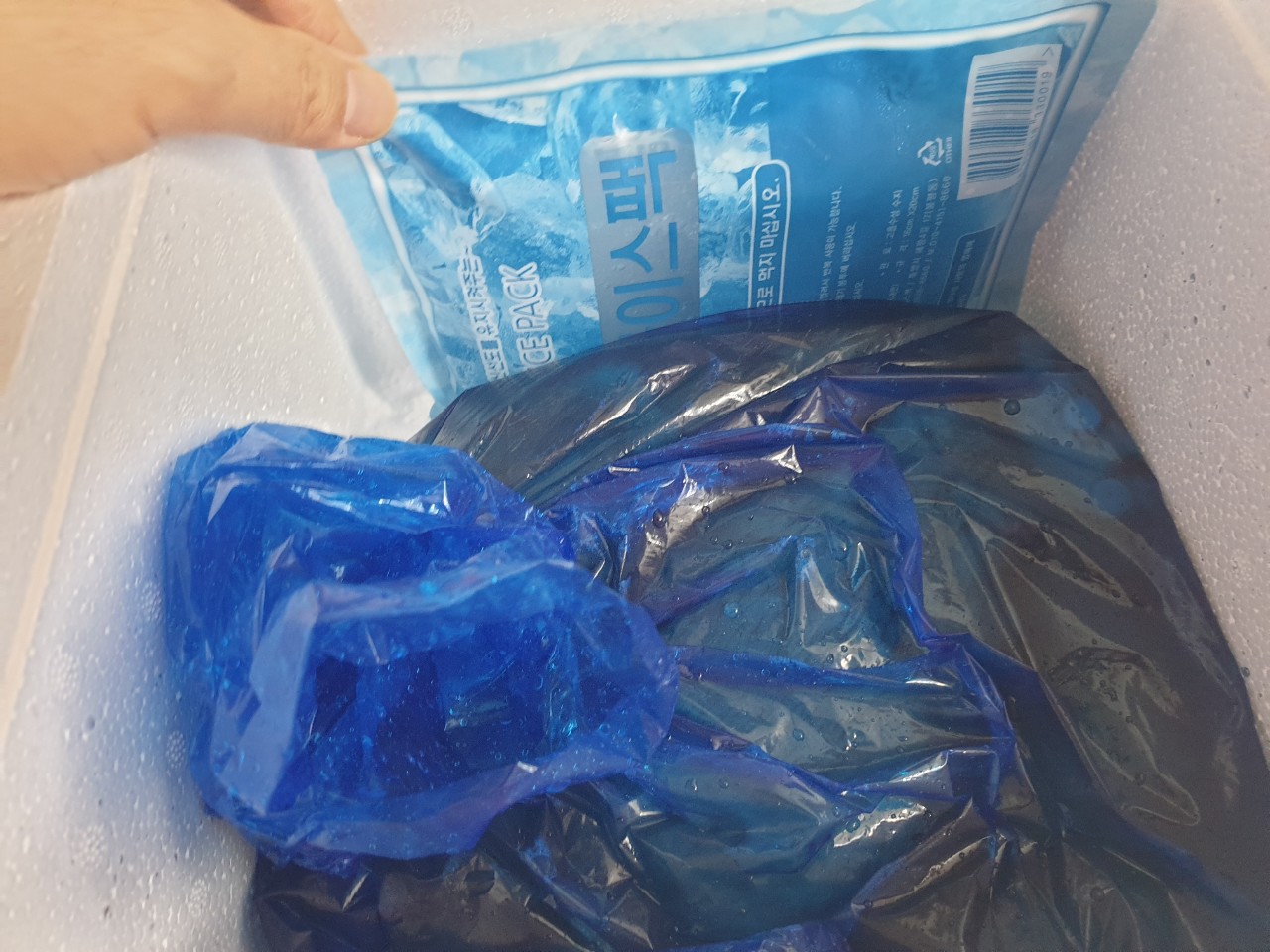 통영 활돌문어 산지직송 1kg(1~3미)