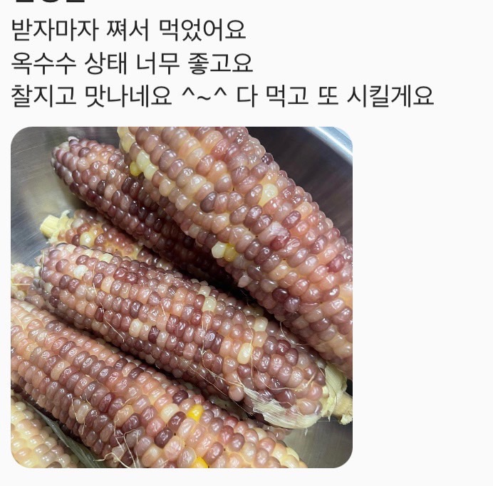 쫀득쫀득 몬나니 찰옥수수 20개 특가