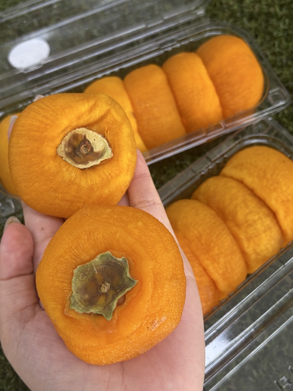 쫀득달콤 지리산 산청곶감 500g 3팩 한정특가