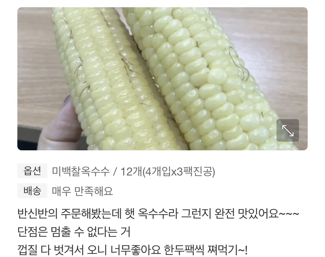 쫀득쫀득 몬나니 찰옥수수 20개 특가