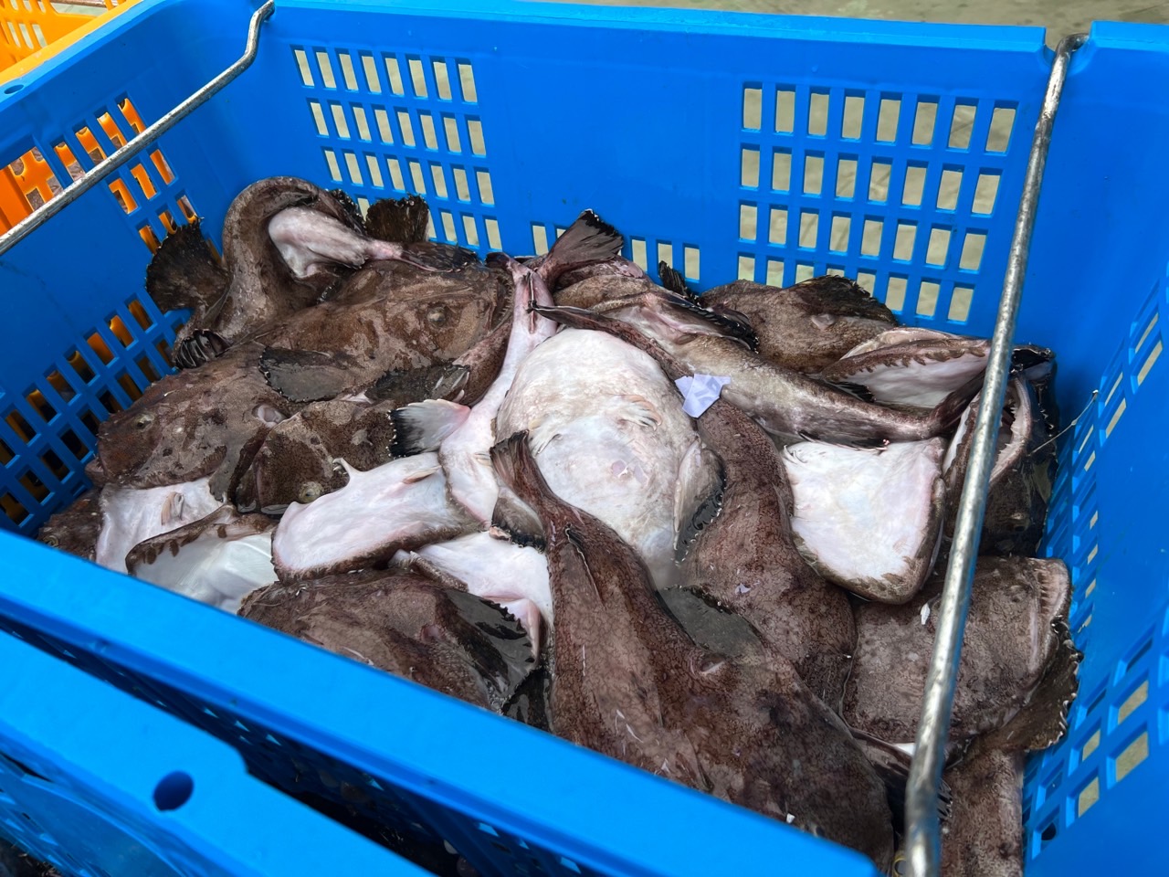 푸짐한 순살 아구찜 밀키트
