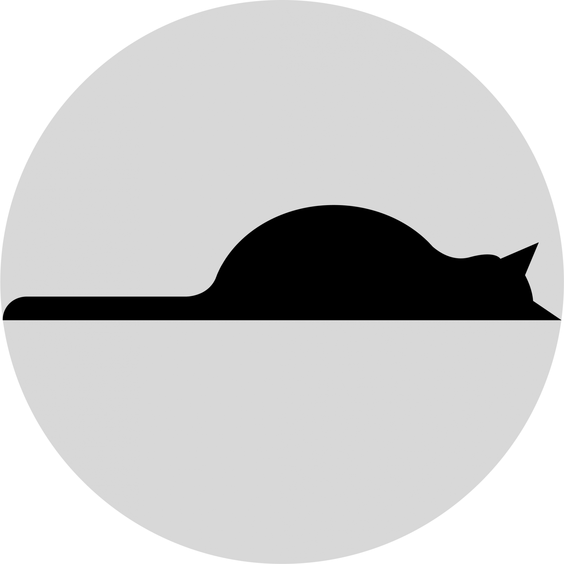 Papa's dental clinic 로고