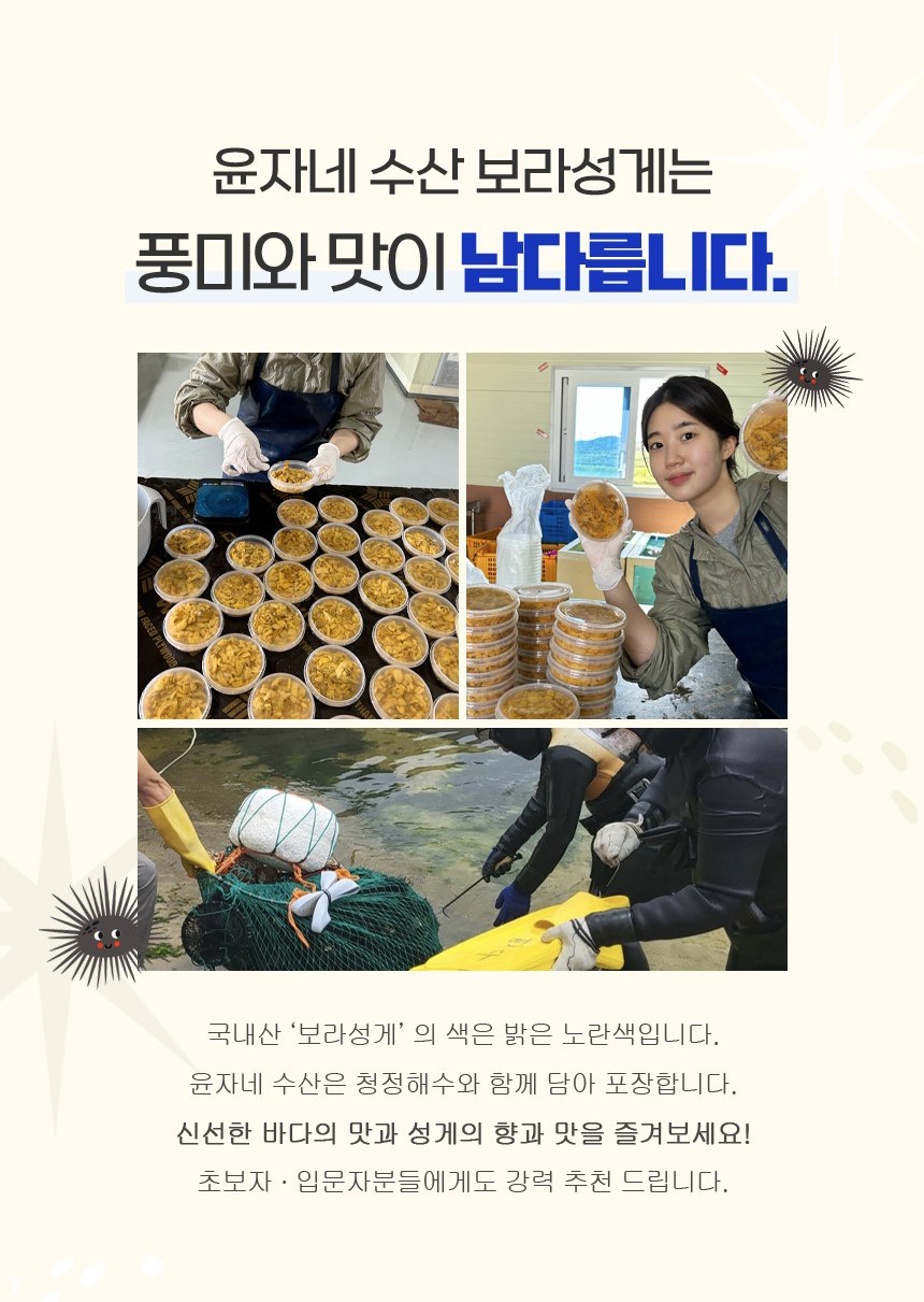 [리뷰 EVENT] 구룡포 해녀채취 생물 성게 성게알 보라성게 우니 100g