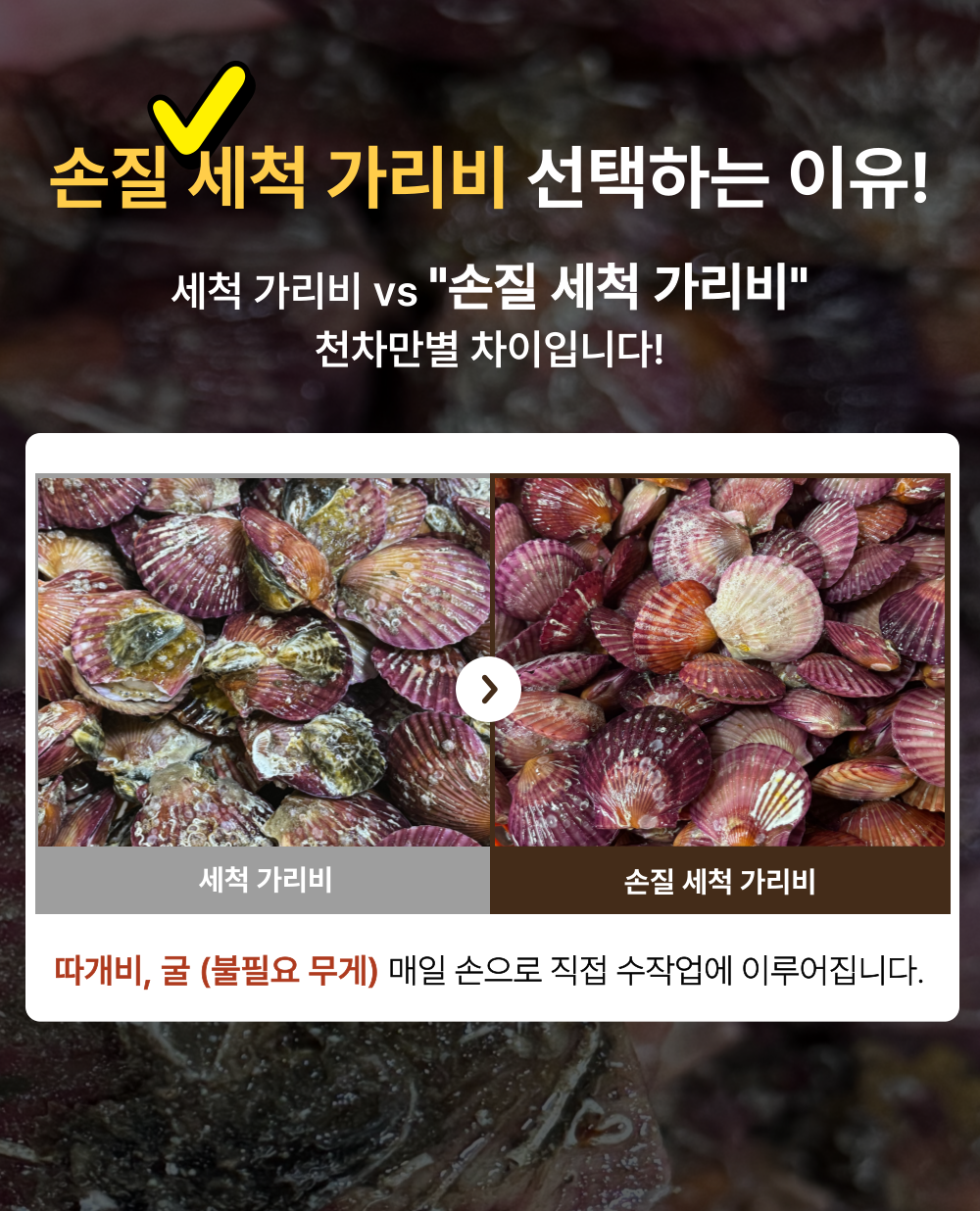 A급 손세척 홍가리비 산지직송 경남고성 구이 찜 1kg