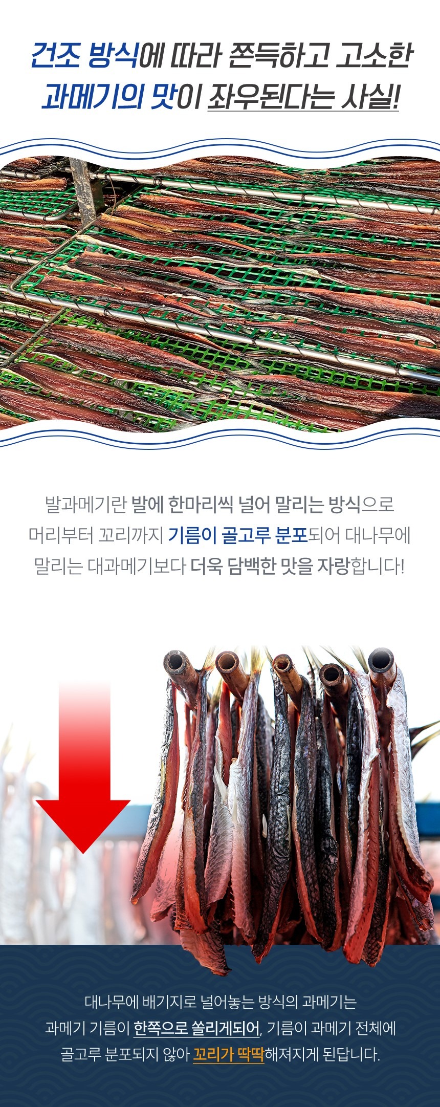 명품 햇과메기 구룡포 발과메기 단품or야채세트 선택