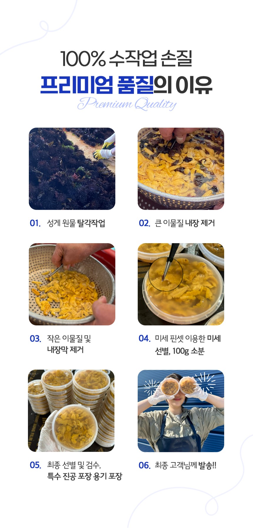 구룡포 해녀채취 생물 성게 성게알 보라성게 우니 100g