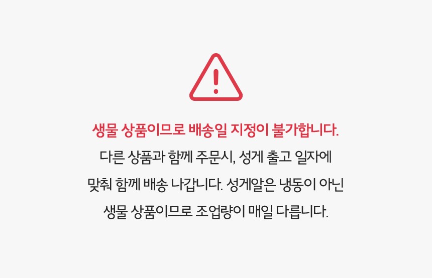 구룡포 해녀채취 생물 성게 성게알 보라성게 우니 100g