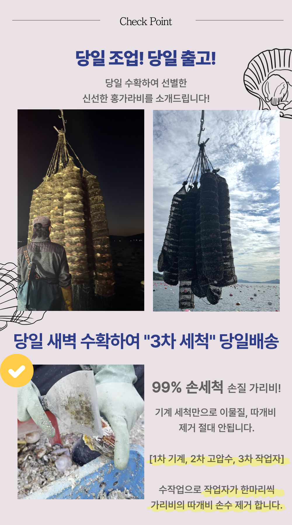 A급 손세척 홍가리비 산지직송 경남고성 구이 찜 1kg