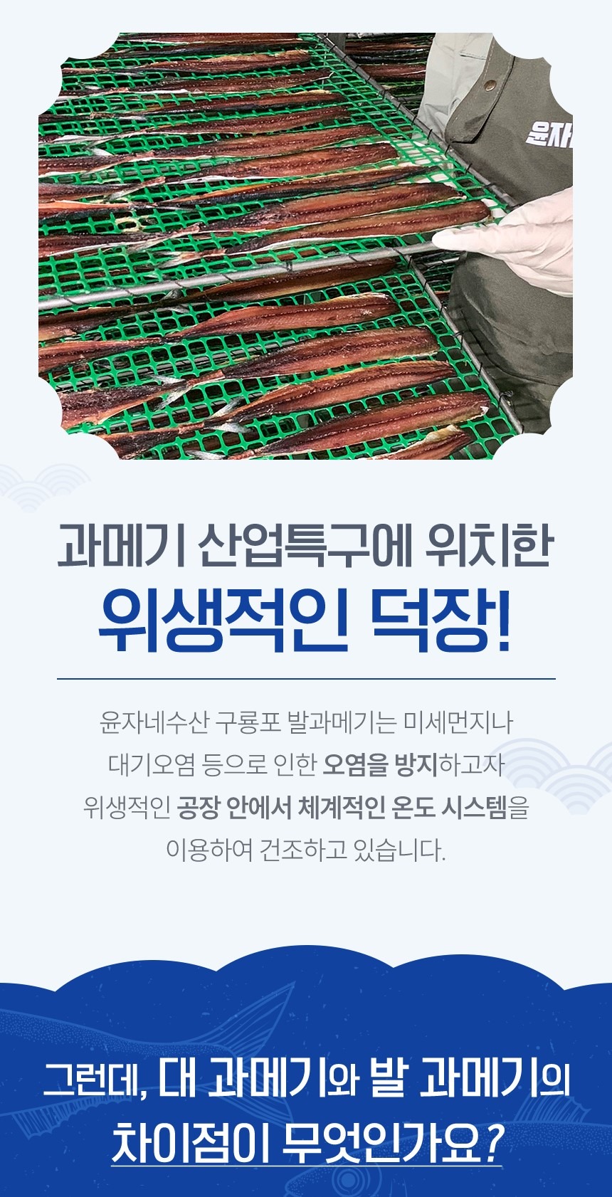명품 햇과메기 구룡포 발과메기 단품or야채세트 선택