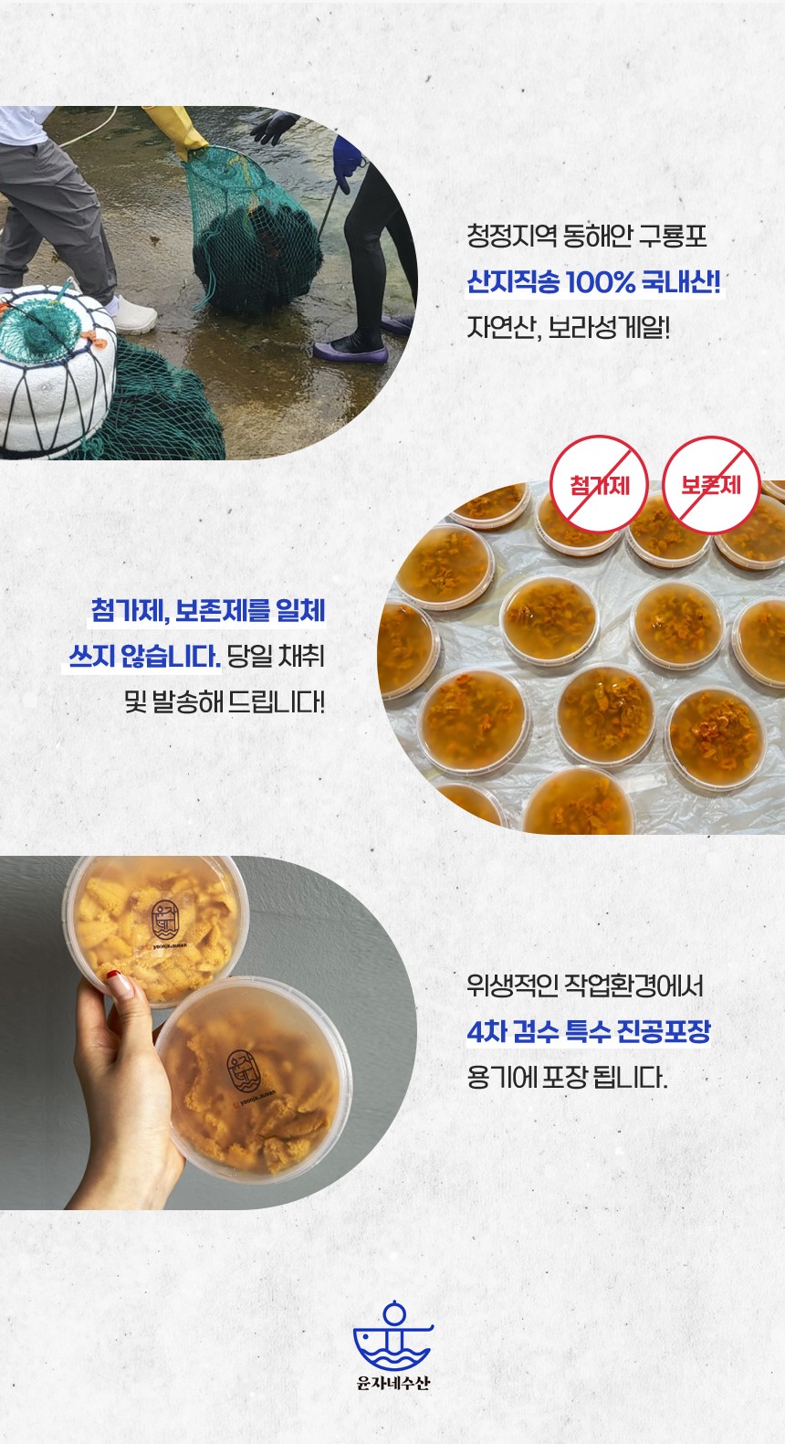 구룡포 해녀채취 생물 성게 성게알 보라성게 우니 100g