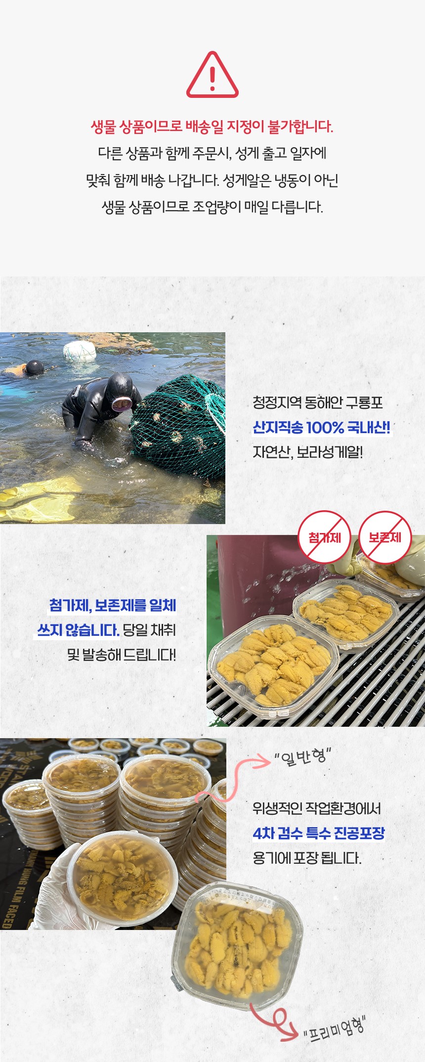 [리뷰 EVENT] 구룡포 해녀채취 생물 성게 성게알 보라성게 우니 100g
