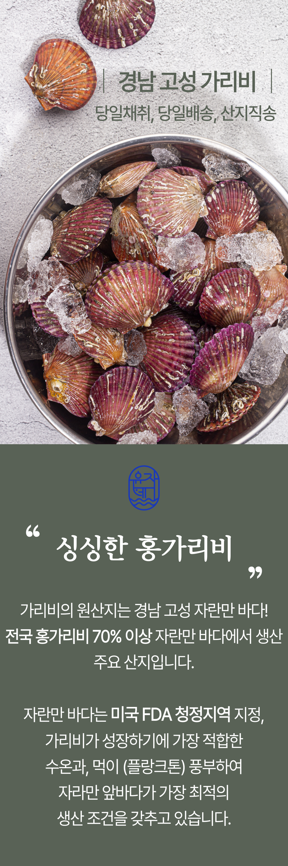 A급 손세척 홍가리비 산지직송 경남고성 구이 찜 1kg