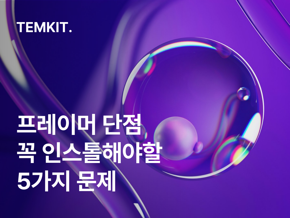 프레이머 단점