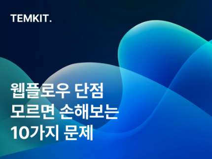 웹플로우 단점 webflow