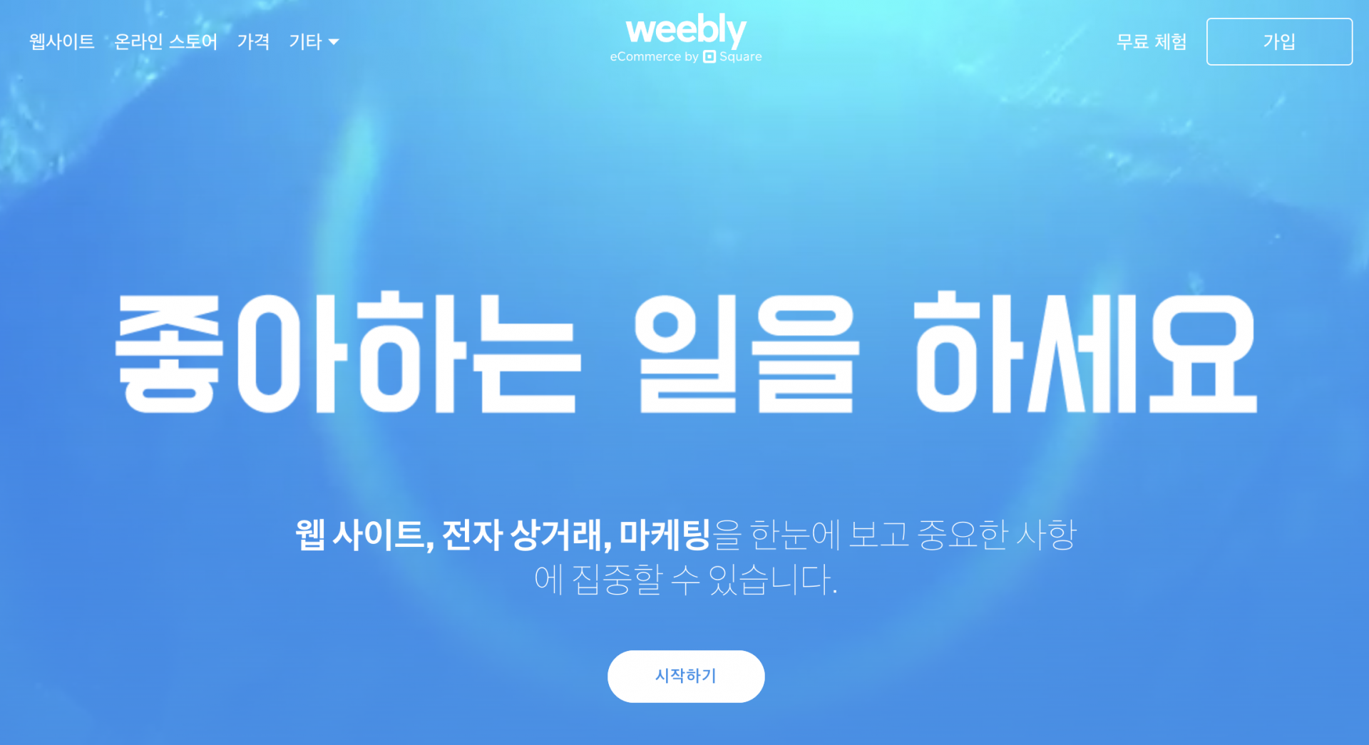 위블리 단점