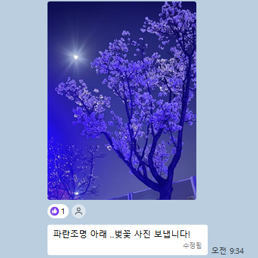 01dea775cb644.png