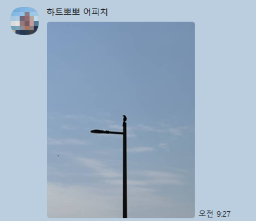 8e38cdd5e6a10.png