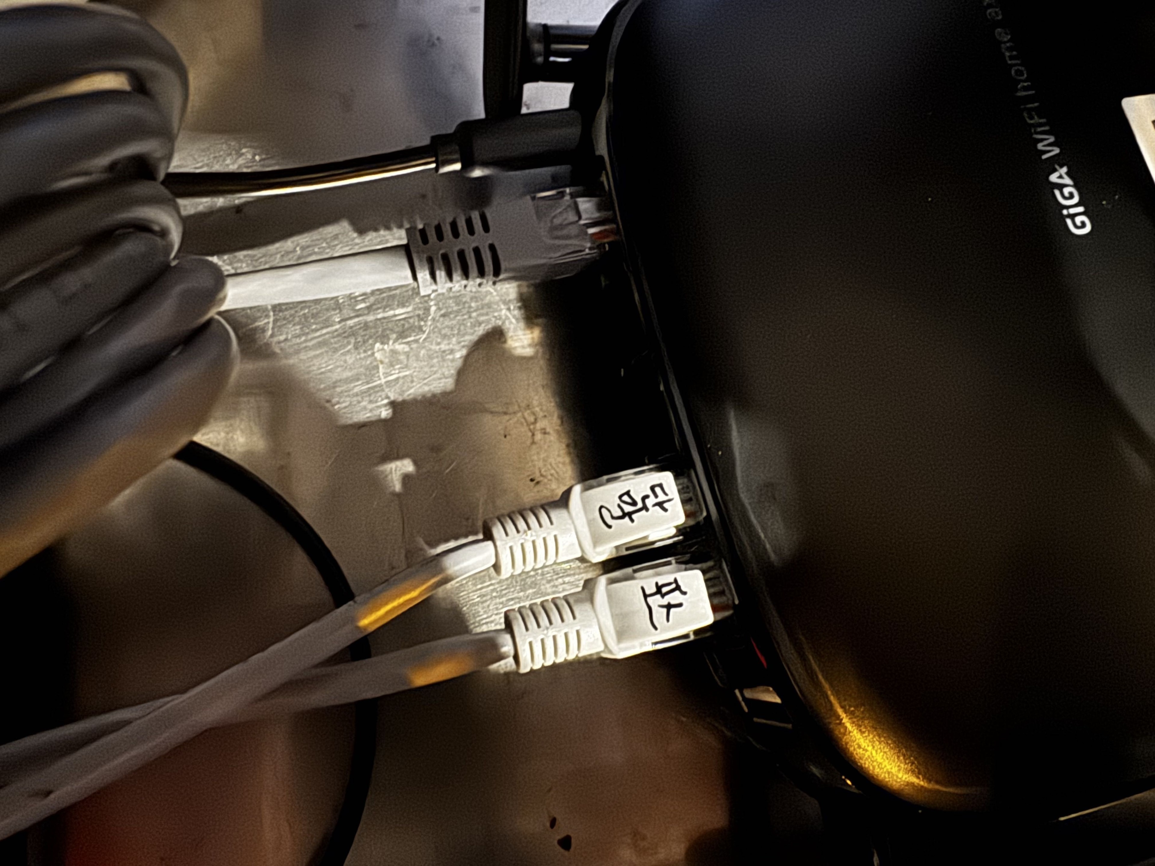72e5a6c67585d.jpg