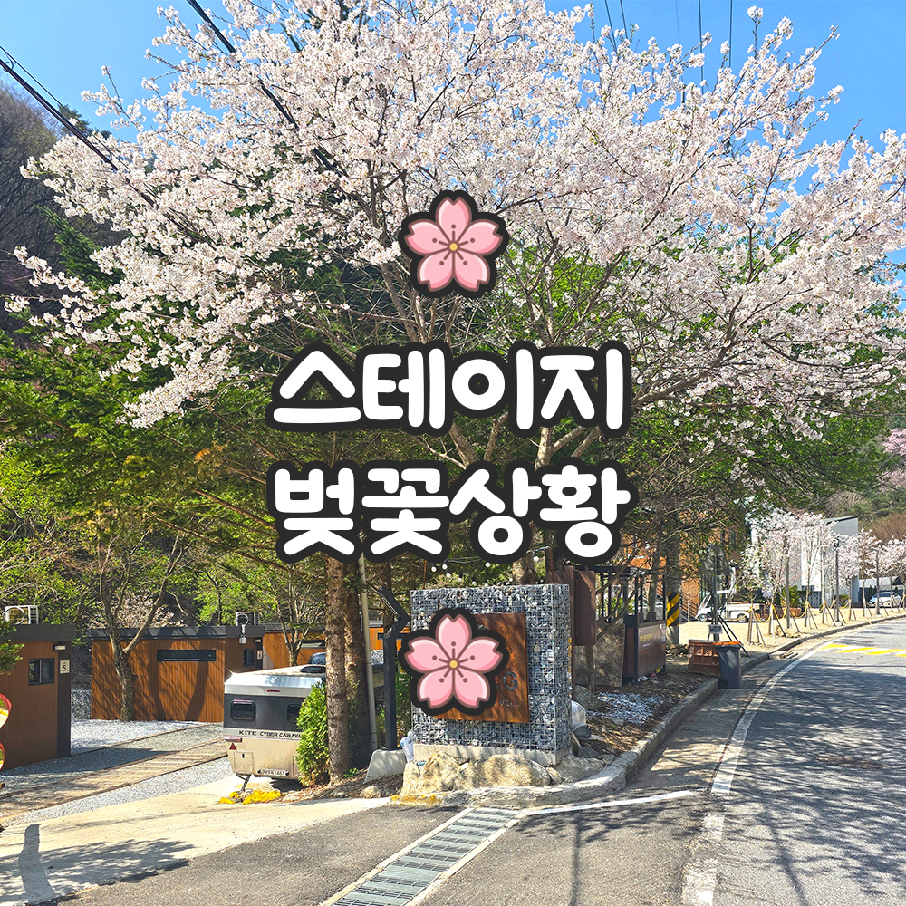 KakaoTalk_20260415_115110486.jpg