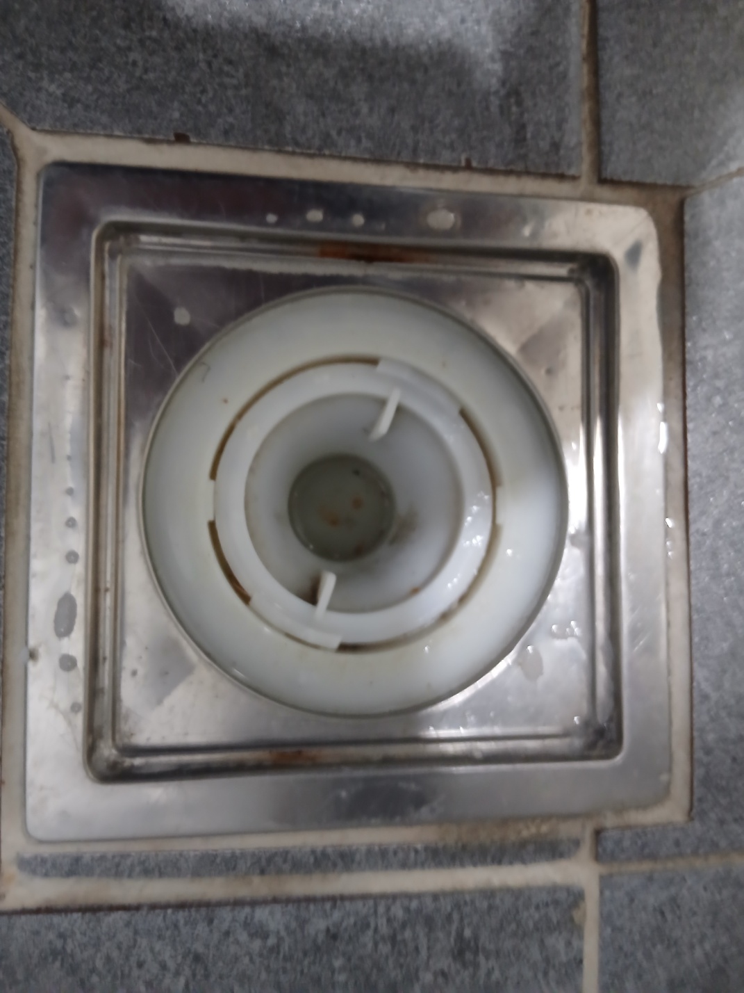 43e1067139f98.jpg