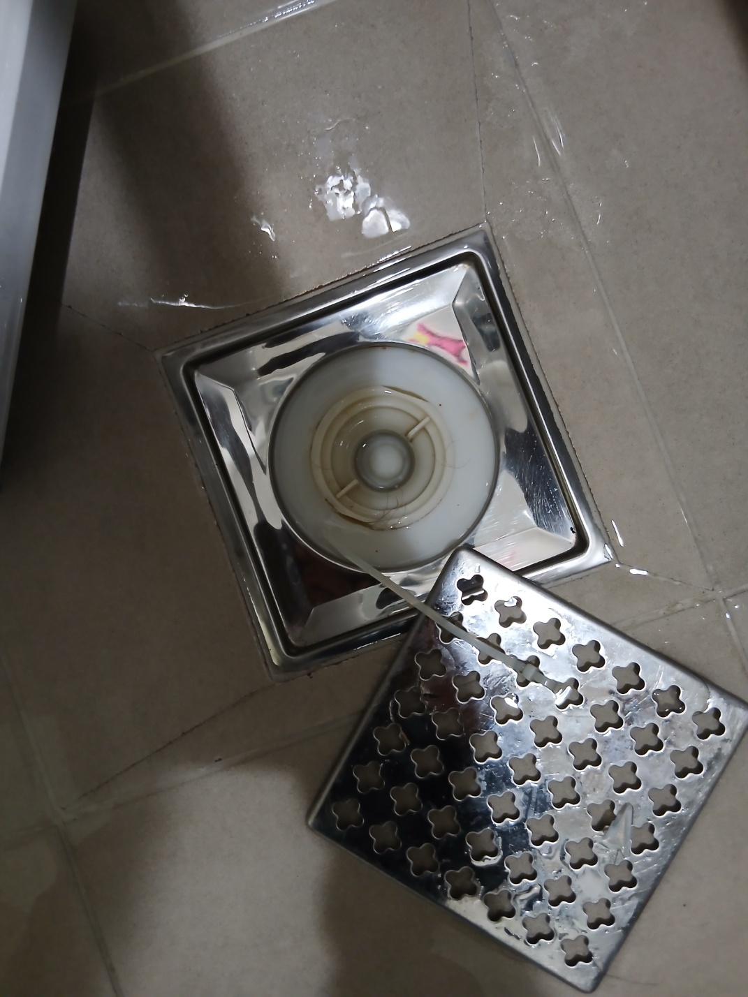 642a5216d6556.jpg