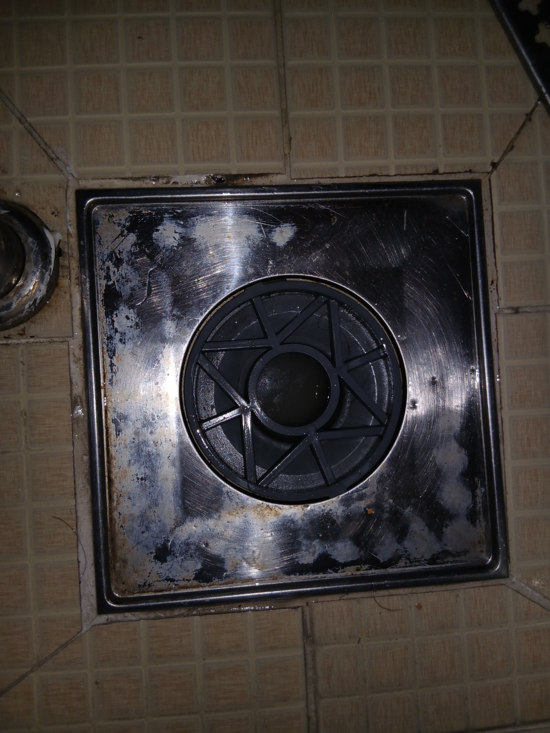 a52c02be54839.jpg
