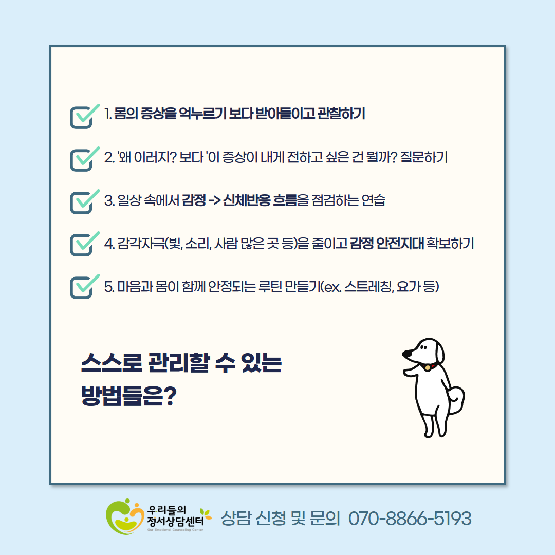 6cd11411d9819.png