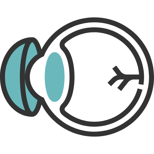 망막질환 아이콘